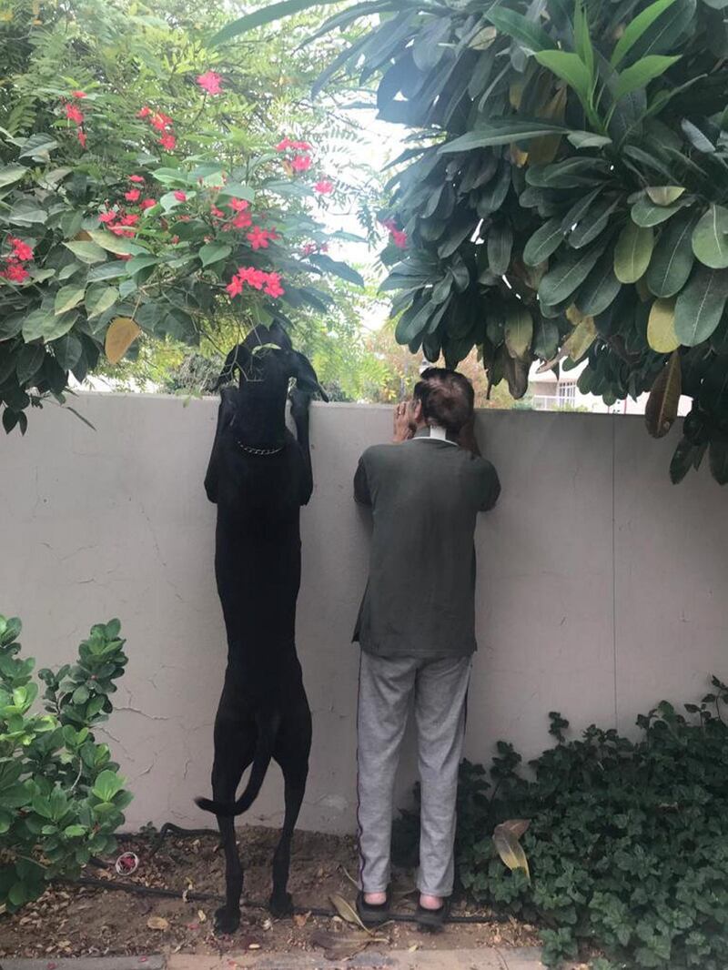 "Caught my father and our dog Bambi peeping out of our yard and missing their daily walks," says the UAE-based photographer of this moment. Courtesy of @rohikakataky83