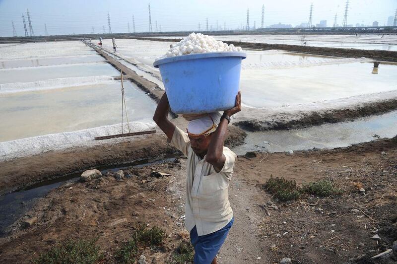 An Indian labourer carries a tub of salt at a salt pan on the outskirts of Mumbai. Over 3,000 acres of  salt pan lands in Mumbai could be freed up for development to provide housing for squatters. Indranil Mukherjee / AFP