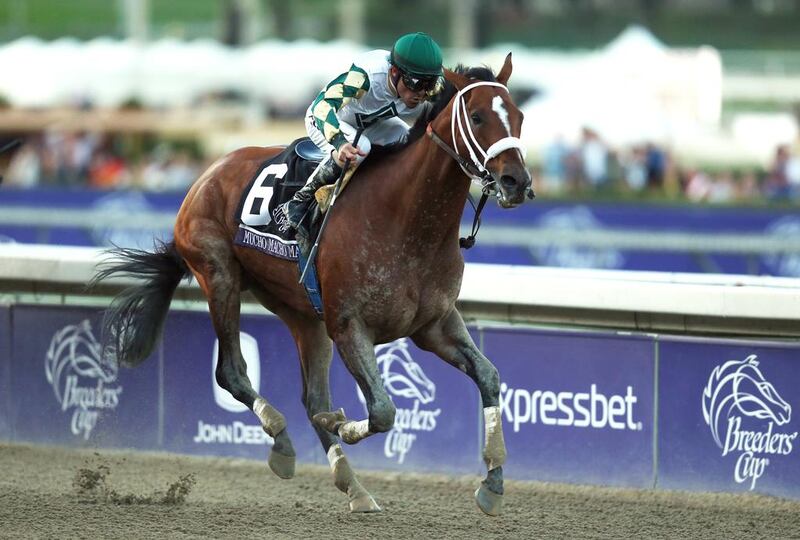 Mucho Macho Man, pictured winning the Classic during the 2013 Breeders' Cup, has been entered in the Dubai World Cup, but its place has not been confirmed. Jeff Gross / AFP