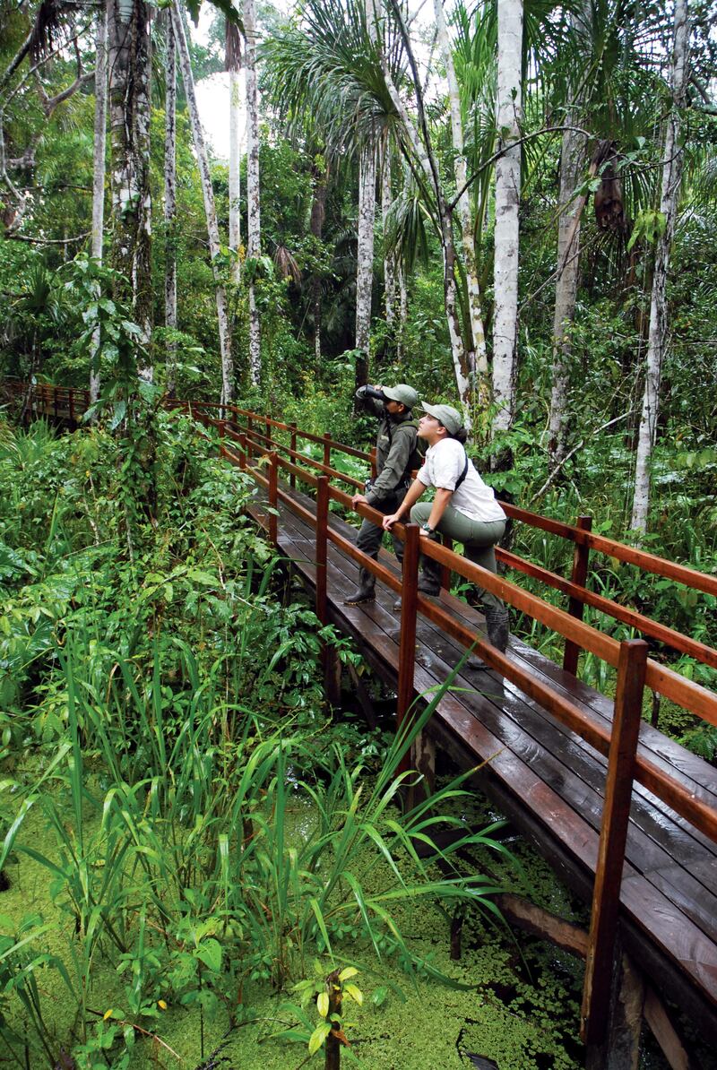 Handout: Anaconda walk - Inkaterra Reserva Amazonica (Courtesy Inkaterra)