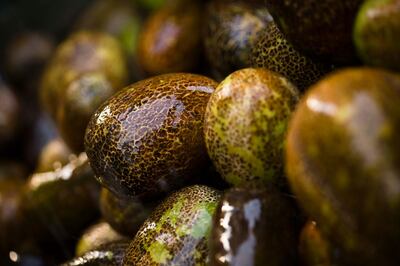 Close-up detail of Dosakai (also known as Indian Cucumber) for sale at Nawabganj Bazar. Getty Images