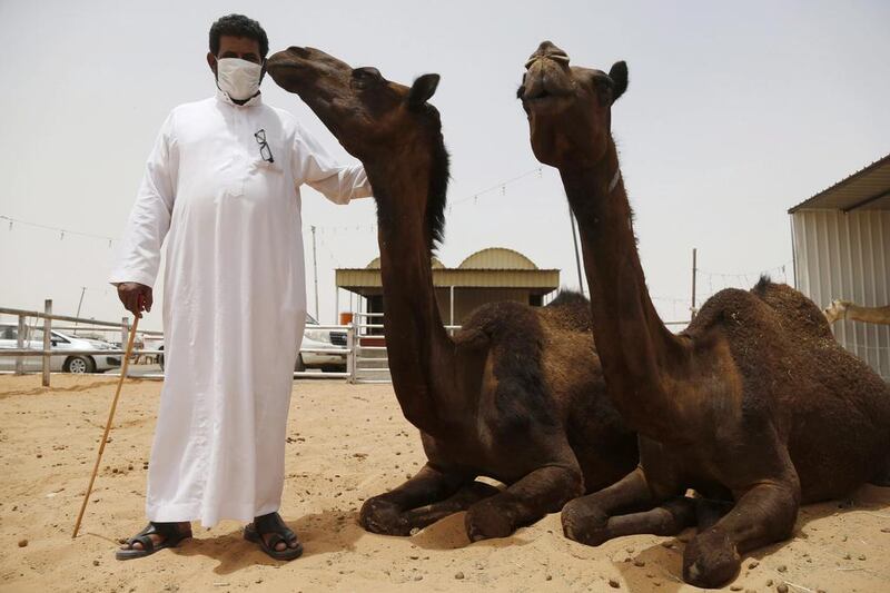 A man wearing a mask poses with camels at a camel market in the village of al-Thamama near Riyadh. Scientists believe the Mers coronavirus originates in camels (Photo: REUTERS/Faisal Al Nasser)