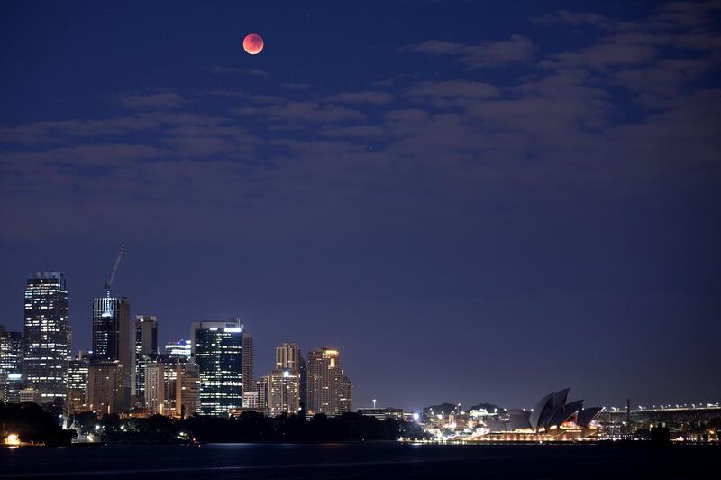 The moon is seen turning red over the Sydney skyline. Getty Images