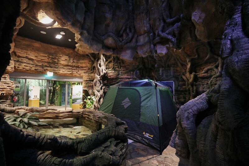 The Green Planet has relaunched its Camping in the Rainforest experience, which allows visitors to stay at Dubai's indoor rainforest  overnight. All photos: Chris Whiteoak / The National