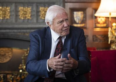 Sir David Attenborough has urged for greater public participation in the climate debate. PA.