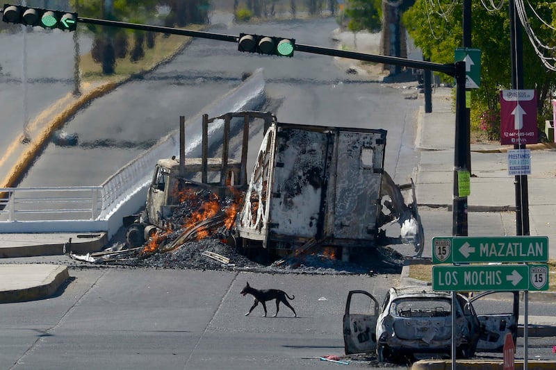 Burnt-out vehicles after clashes between federal forces and armed groups following Ovidio Guzman's capture. EPA