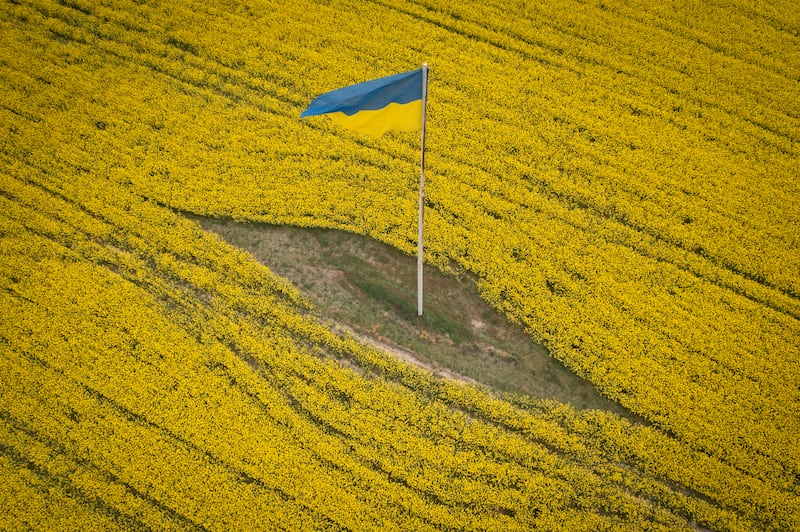 A Ukrainian national flag in the middle of a blossoming field near Brovary, east of Kyiv. AP