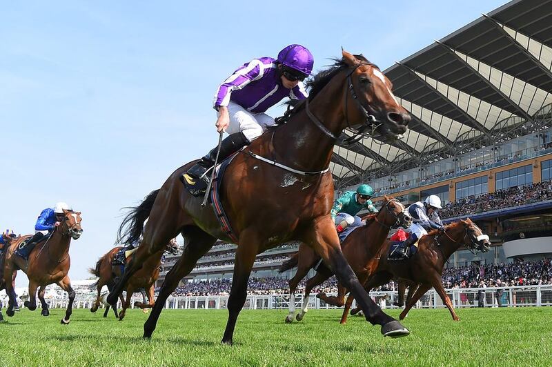 Highland Reel raced to a sixth Group 1 victory at Royal Ascot on Wednesday. Mike Hewitt / Getty Images