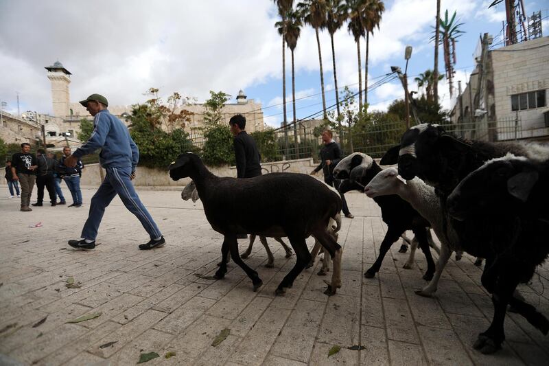 Palestinians walk with a flock of sheep near the Ibrahimi Mosque or the Tomb of the Patriarch, holy for both Jews and Muslims, in the West Bank town of Hebron.  EPA