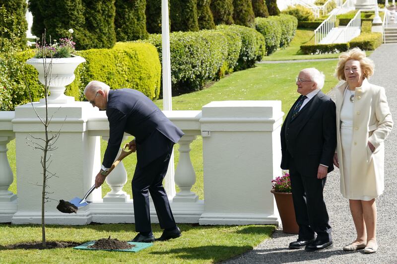 Mr Biden plants a tree at Aras an Uachtarain. PA