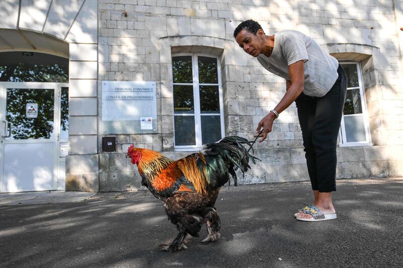 A woman holds a rooster on a leash in front of the high court in Rochefort, western France where the justice is set to rule on whether a lively cockerel should be considered a neighbourly nuisance in a case that has led to shreiks of protest in the countryside.  AFP