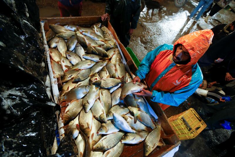 A fisherman displays his catch for customers in Najaf. Reuters