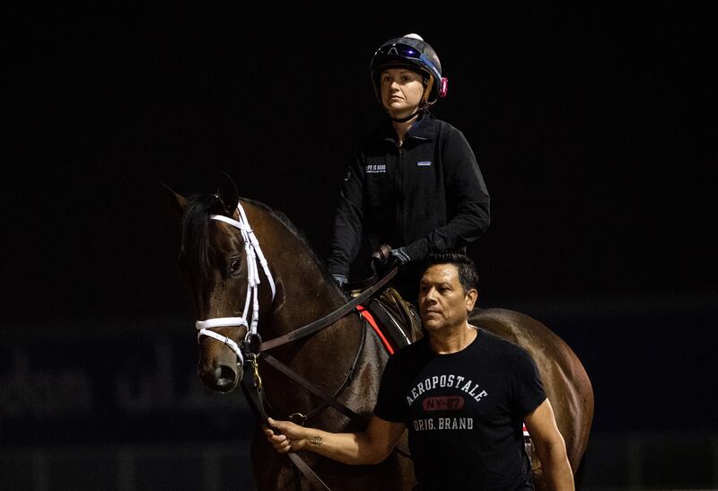 Life Is Good walks to the morning track work at Meydan Racecourse in Dubai. AP