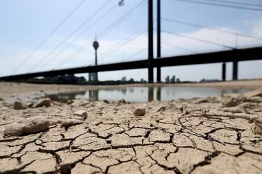 A dried river bed of the Rhine river in Duesseldorf, Germany, where water levels are falling sharply. Germany experienced a heat wave with temperatures up to 42C. EPA