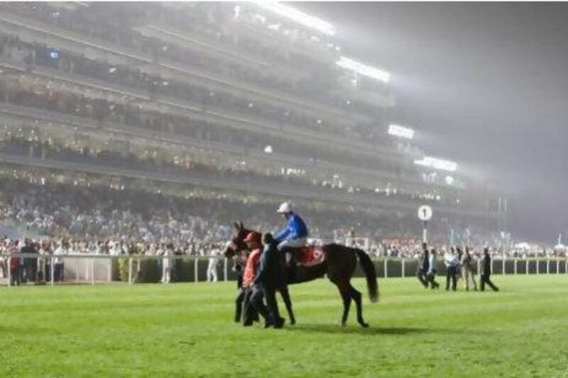 On the strength of events such as the Dubai World Cup night, above, the Meydan Group has signed an agreement to help develop China's Chengdu as a horse racing destination.