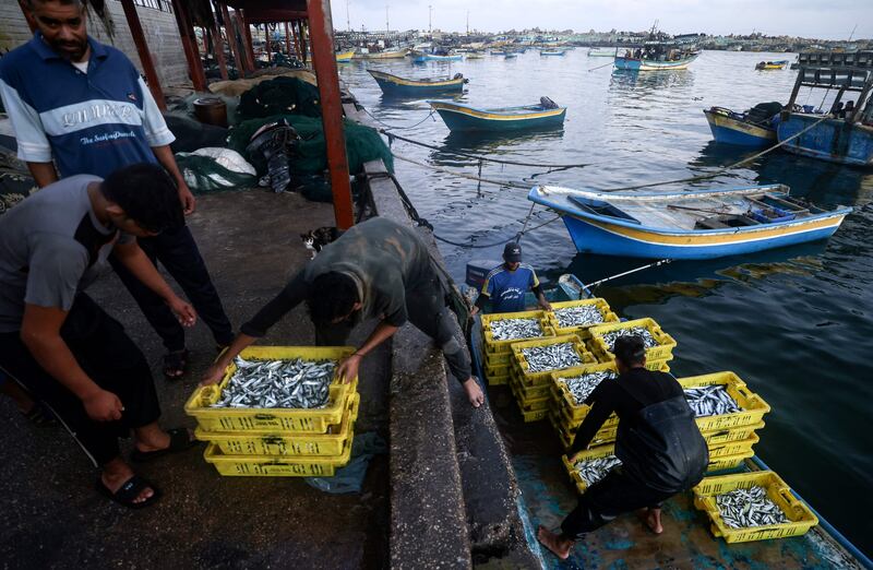 High prices of fuel in the Palestinian enclave of Gaza mean that fishing operating costs are unmanageable, making fishermen stay closer inshore.