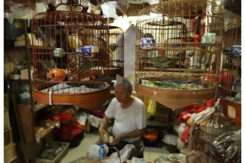 Bird cages hang in a stall at a bird market in Hong Kong yesterday. Hong Kong worked to contain any outbreak of bird flu after the teeming city recorded its first human case of the illness since 2003.