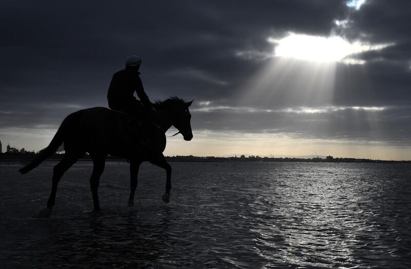 Ben Cadden rides Winx during a beach recovery session at Altona Beach in Melbourne, Australia. Getty Images