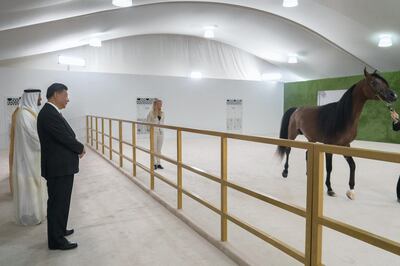 ABU DHABI, UNITED ARAB EMIRATES - July 20, 2018: HH Sheikh Mohamed bin Zayed Al Nahyan Crown Prince of Abu Dhabi Deputy Supreme Commander of the UAE Armed Forces (back R) presents the gift of an Arabian Rabdan horse to HE Xi Jinping, President of China (front R), during a reception at the Presidential Palace. 

( Rashed Al Mansoori / Crown Prince Court - Abu Dhabi )
---