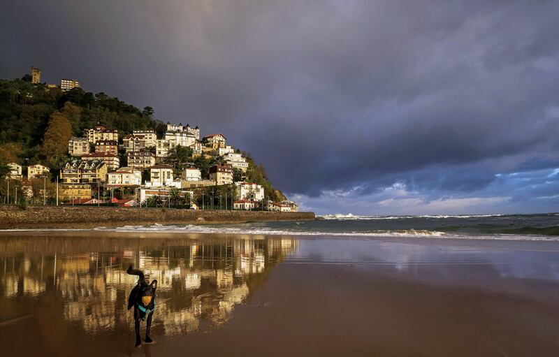 A dog runs on Ondarreta beach at sunrise in San Sebastian, northern Spain.  Javier Etxezarreta / EPA