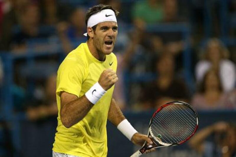 Juan Martin Del Potro is a former US Open champion. Matthew Stockman / Getty Images / AFP