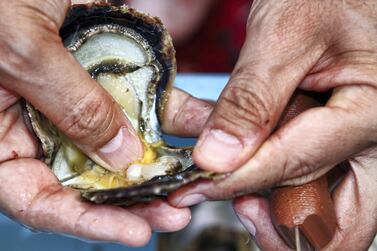 Al Suwaidi Pearl Farm in Ras Al Khaimah. Courtesy Ministry of Climate Change and Environment