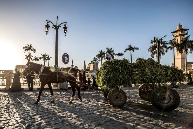 A man drives a horse-drawn cart loaded with alfalfa along a road past the Temple of Luxor and the 13th century Abu Haggag mosque. AFP