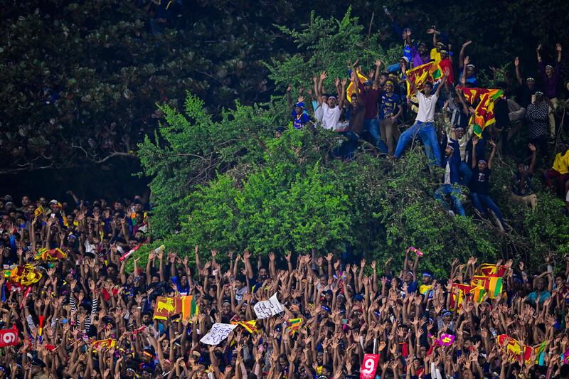 Sri Lankan cricket fans climb trees to watch their team in the second T20 international cricket match against Afghanistan at the Rangiri Dambulla International Cricket Stadium. AFP