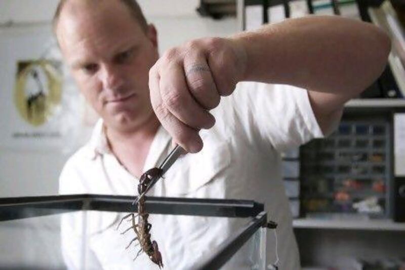 The conservationist Peter Roosenschoon displays a black-tipped scorpion.