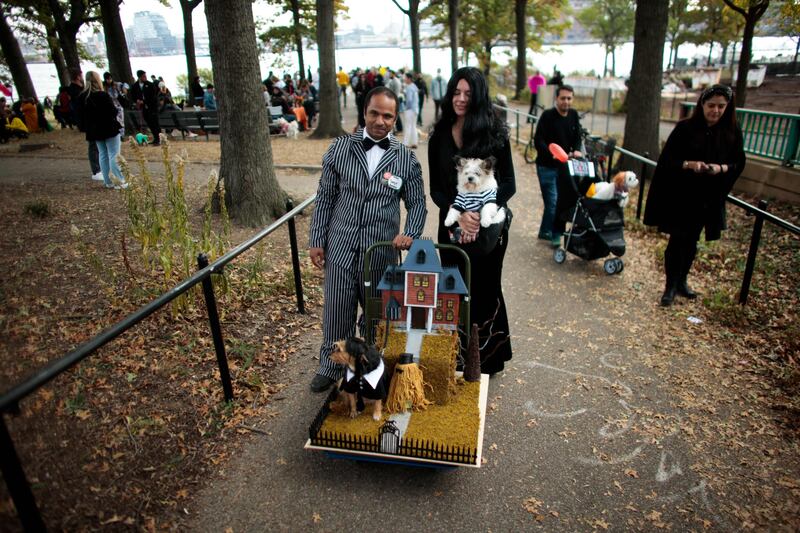 A man and a woman with their dogs in an Addams Family costume. AFP