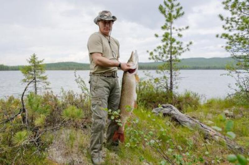 TOPSHOTSThis picture made available on July 26, 2013 shows Russian President Vladimir Putin holding a huge pike fish, after he caught it in the Tyva region on July 20, 2013 during his vacation.   AFP PHOTO/ RIA-NOVOSTI/ ALEXEY DRUZHININ
 *** Local Caption ***  624226-01-08.jpg