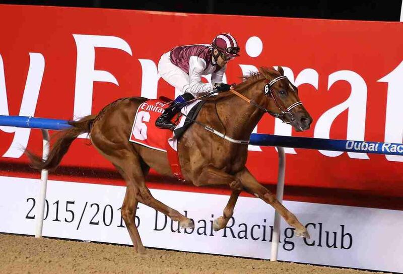 In this file photo Special Fighter, ridden by Fernando Jara, can be seen winning a 2,000m race at the Meydan Racecourse in Dubai on March 5, 2016, Pawan Singh / The National