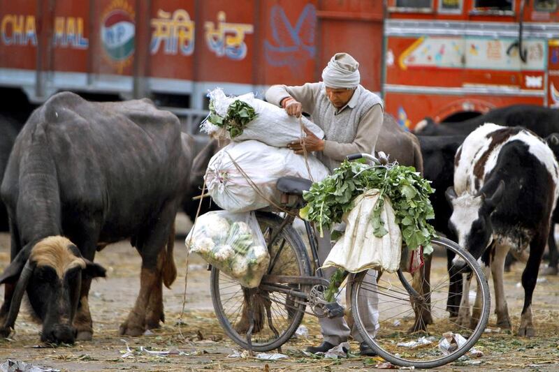 An Indian man carries vegetables on a bicycle at a wholesale market on the outskirts of Jammu, India, Saturday, March 15, 2014. India's key inflation rate has dropped to its lowest level in nine months. The easing of the price increases comes less than a month before general elections in the world's most populous democracy. (AP Photo/Channi Anand)