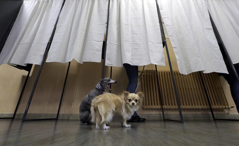 A pair of dogs wait for their owner to cast their vote at a polling station in Nice, France.  Eric Gaillard / Reuters