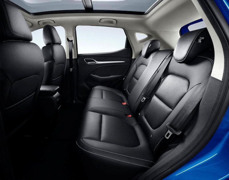 Just the spot for your favourite backseat driver.