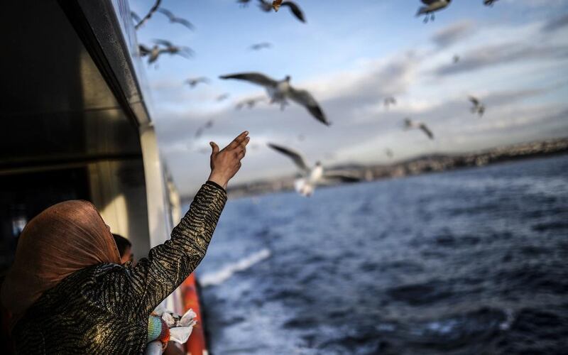 A Syrian refugee family from Aleppo feed seagulls while crossing the Bosphorus from Uskudar to the European side of Istanbul. Bulent Kilic / AFP