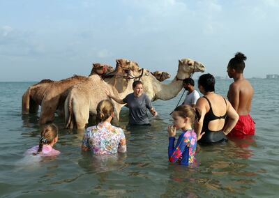 Swimming helps build the camels stamina and capacity for running. Chris Whiteoak / The National