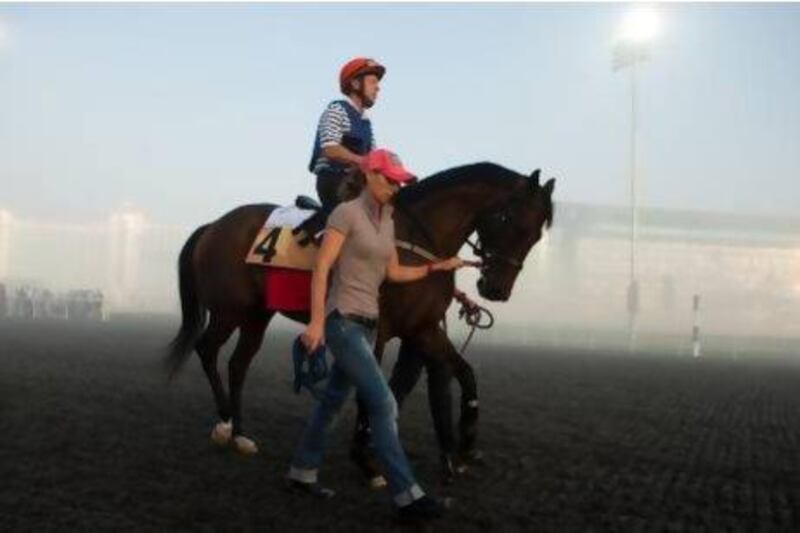 Rocket Man will likely run in his fourth Dubai Shaheen race. Andrew Henderson / The National