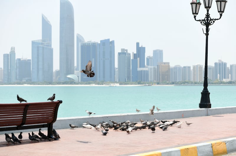Soaring temperatures along the Corniche in Abu Dhabi. At night drier air is pulled in from the land. Khushnum Bhandari / The National
