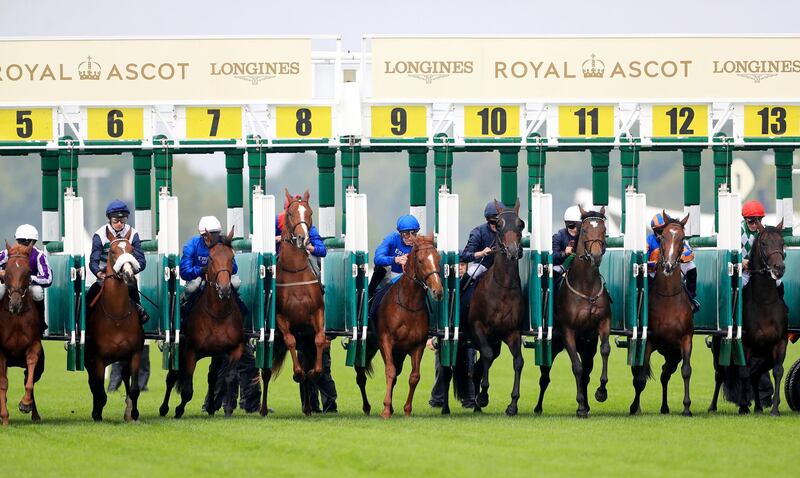 Runners and riders in the Queen's Vase during Day 2 of Royal Ascot at Ascot Racecourse. Press Association