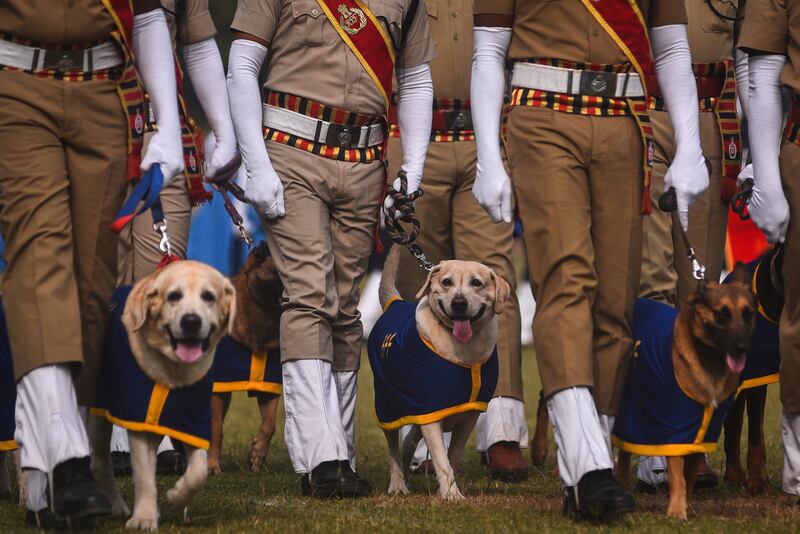 The Indian Railway Protection Force dog squad. EPA