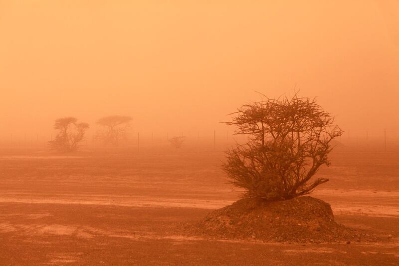 DUBAI, UAE. April 2, 2015 - Scenes outside Fujairah during a sandstorm that swept into the United Arab Emirates, April 2, 2015. (Photos by: Sarah Dea/The National, Story by: Standalone, news)
 *** Local Caption ***  SDEA020315-sandstorm03.JPG