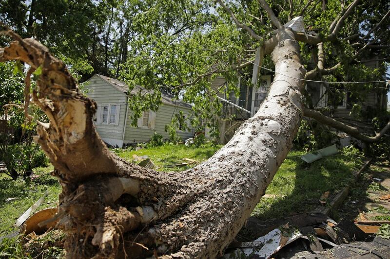 An uprooted tree rests on a home in Jefferson City. AP Photo