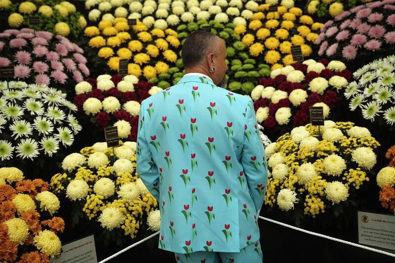 An exhibitor looks at a stand of Chrysanthemum at the 2014 Chelsea Flower Show at Royal Hospital Chelsea on May 19, 2014 in London, England. The prestigious gardening show opens to the general public on May 20, 2014, and features hundreds of stands and exhibition gardens. Dan Kitwood / Getty Images
