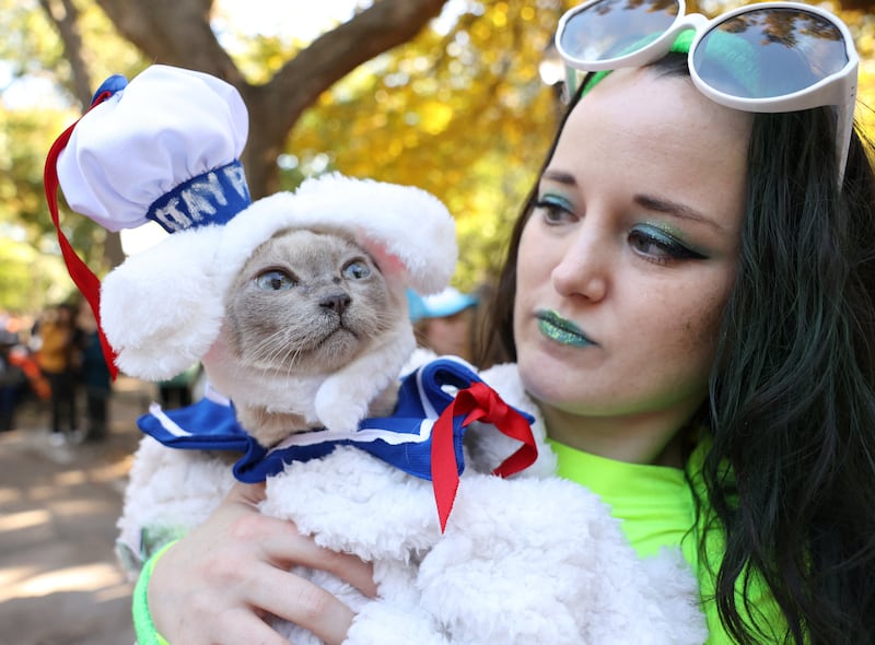 A woman holds a cat dressed as a dog. Reuters