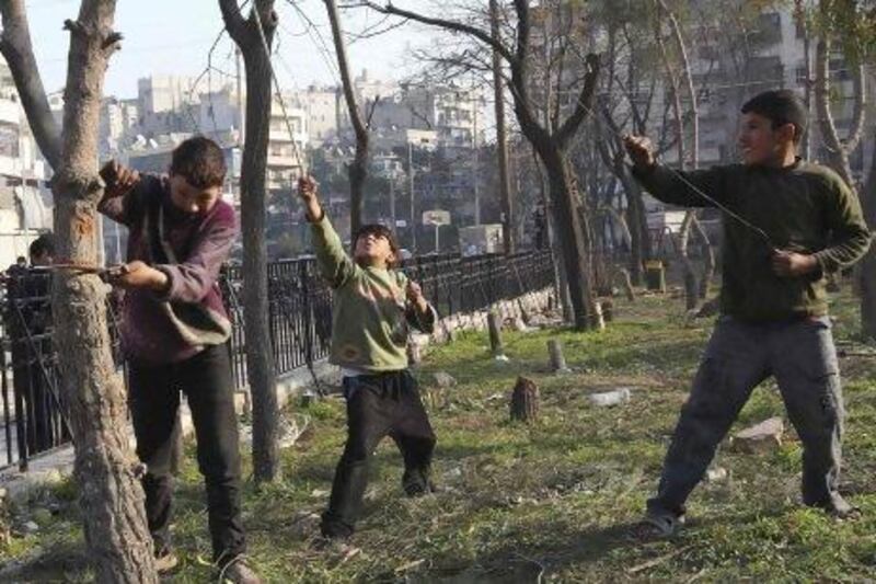 Boys cut tree branches to be used for heating at a public park in Aleppo. Shortages of electricity, water and other necessities are fuelling discontent among Syrians.