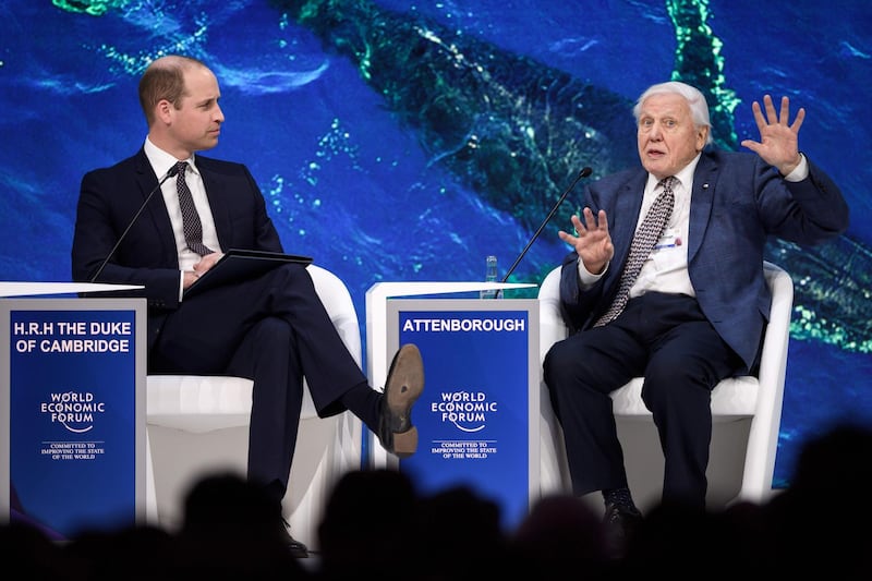 Britain's Prince William, Duke of Cambridge, and British naturalist David Attenborough on stage in Davos. AFP