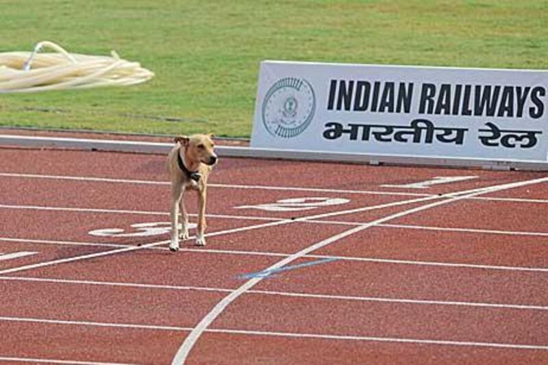 A dog strolls across the finishing line at the Jawaharlal Nehru Stadium in New Delhi during the Commonwealth Games.