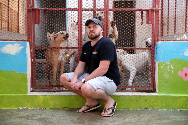 UMM AL QUWAIN, UNITED ARAB EMIRATES , Feb 1  – 2020 :- Liam Gallacher, volunteer at the Stray Dogs Centre in Umm Al Quwain. ( Pawan  Singh / The National ) For POAN. Story by Gillain