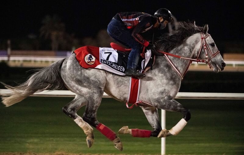 Japan's Al Quoz Sprint contender Entscheiden. AP Photo